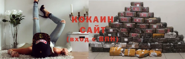 спиды Аркадак