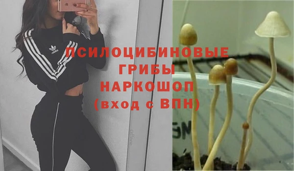 спиды Аркадак