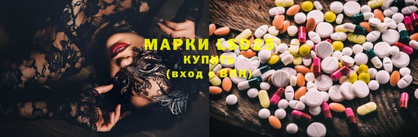 спиды Аркадак