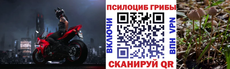 Галлюциногенные грибы прущие грибы  Глазов 